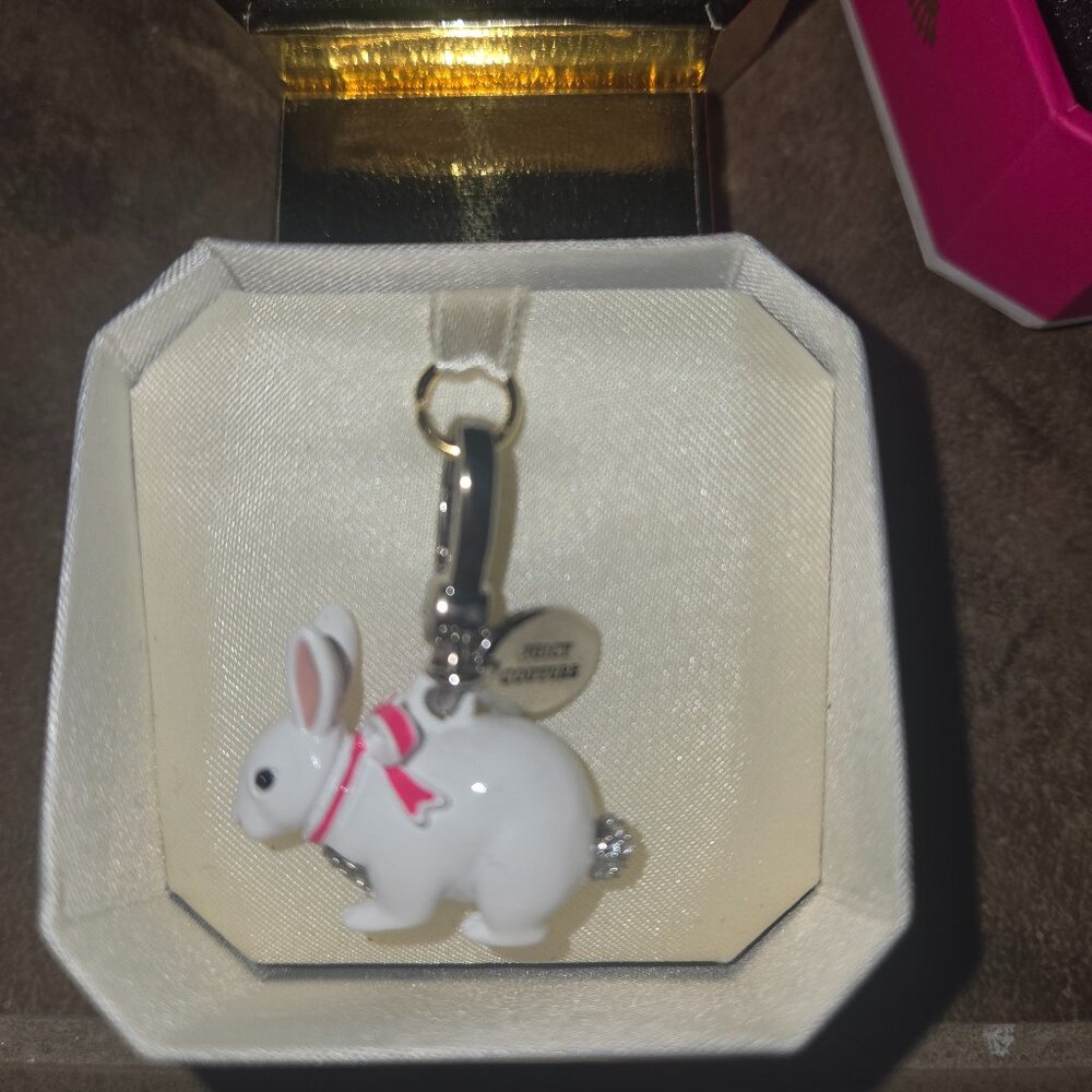 Bunny charm 2012 limited